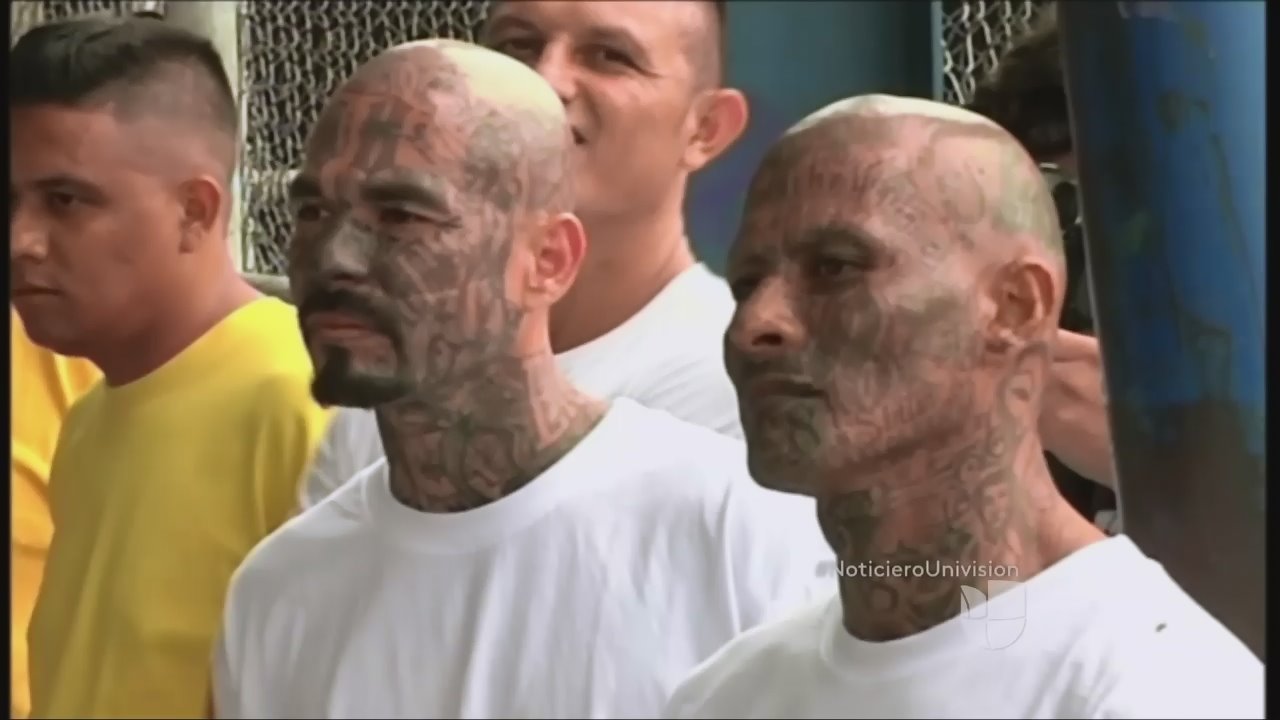 mara salvatrucha news articles mara salvatrucha news articles