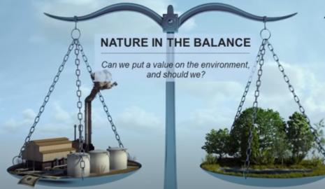 Balancing nature vs industry