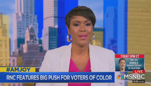 Tiffany Cross MSNBC AM Joy 8-30-20 Tiffany Cross MSNBC AM Joy 8-30-20