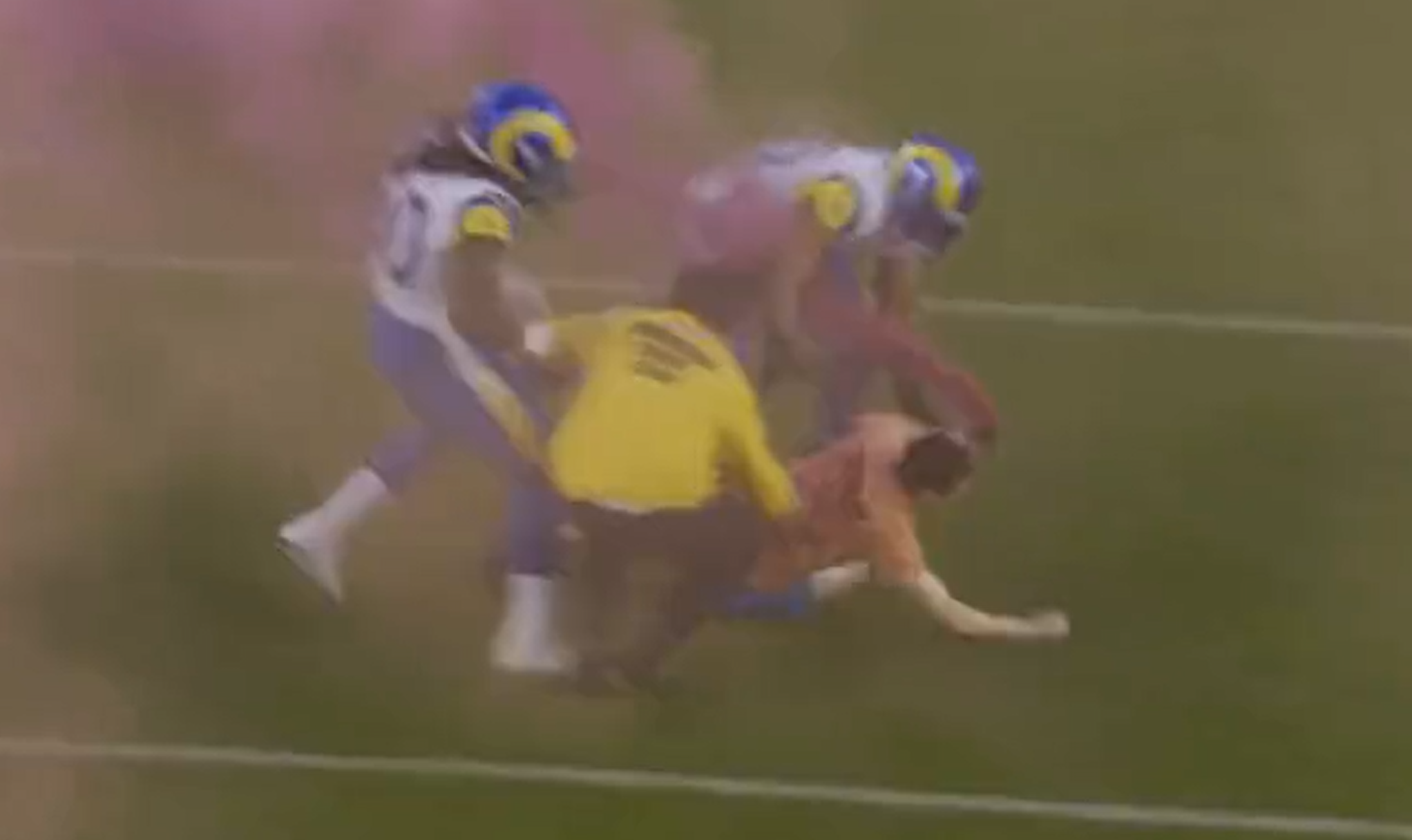 Rams Linebackers Flatten Animal Rights Activist That Stormed Field On MNF - Vimarsana News