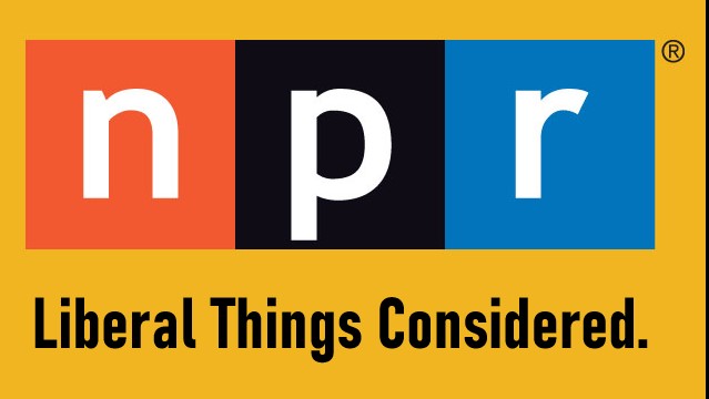 NPR's Mara Liasson Hypes Democrats 'On a Roll,' 'Unified,' with No 'Liberal Litmus Tests'