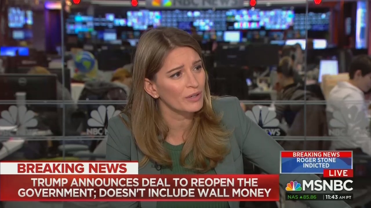 Msnbc Turr MSNBC's Katy Tur Compares Trump to a Four-Year-Old