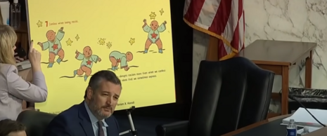 Sen Ted Cruz Brings Up The Propaganda Book "Antiracist baby"