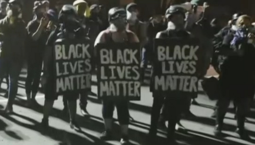 BLM Protesters