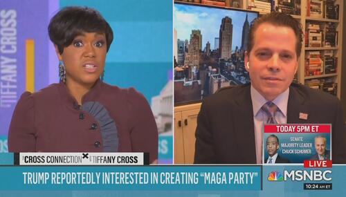 Tiffany Cross Anthony Scaramucci MSNBC The Cross Connection 1-30-21 Tiffany Cross Anthony Scaramucci MSNBC The Cross Connection 1-30-21