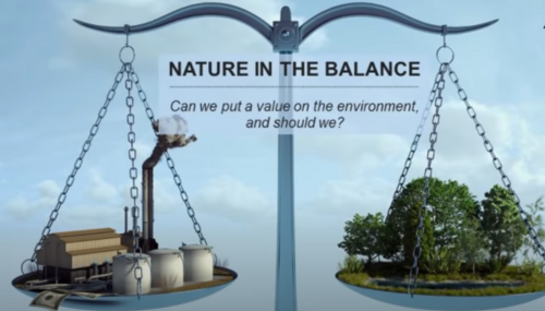 balance Balancing nature vs industry