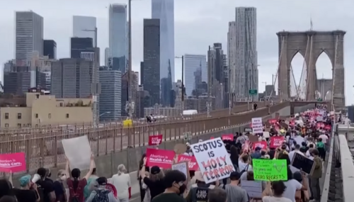 A wide angle shot of protestors on a bridge in New York City.