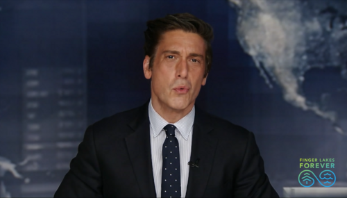 David Muir David Muir