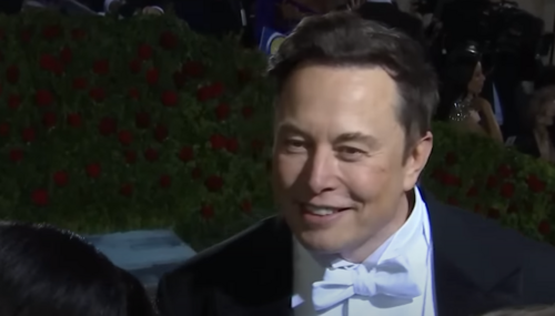 Elon Musk At Met Gala 2022