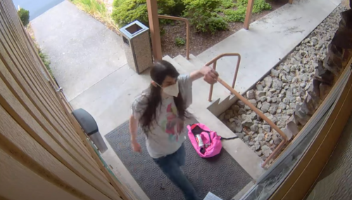 Abortion Vandal smashing a glass door at WA Catholic Church