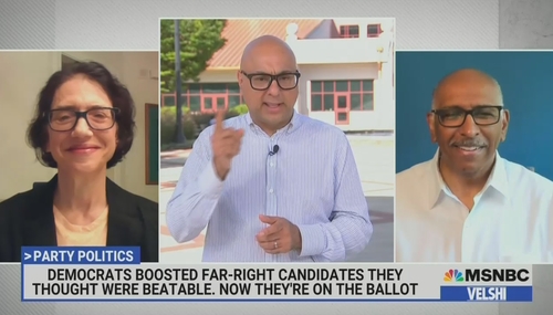 Jennifer Rubin Ali Velshi Michael Steele MSNBC Ali Velshi 8-6-22
