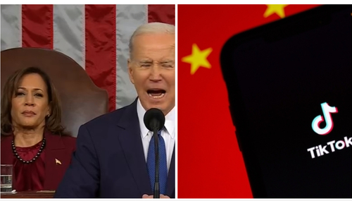 TikTok and Dems