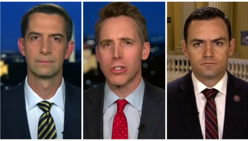 Sen. Hawley, Sen. Cotton, and Rep. Gallagher React to TikTok