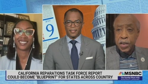 Kamilah Moore, Jonathan Capehart, Al Sharpton MSNBC The Sunday Show 7-9-23 Kamilah Moore, Jonathan Capehart, Al Sharpton MSNBC The Sunday Show 7-9-23