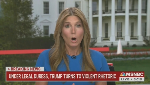 Nicolle Wallace MSNBC Deadline White House 10-5-23 Nicolle Wallace MSNBC Deadline White House 10-5-23
