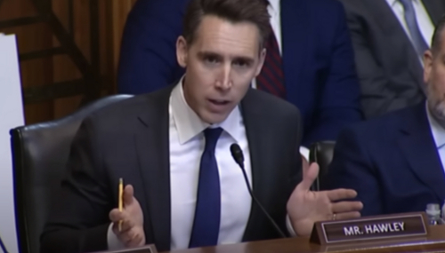 Hawley Reveals ‘Real Truth’ Behind Biden’s Hypocrisy on TikTok Ban