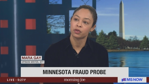 Mara Gay MS NOW Morning Joe 12-29-25
