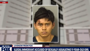 BIDEN BORDER CRISIS: Eight Heinous Illegal Immigrant Crimes ABC/CBS/NBC Are Hiding