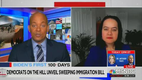 MSNBC Anchor Touts 'Visionary' Amnesty Bill, Replacement of Word 'Alien' with 'Non-Citizen' - Vimarsana News