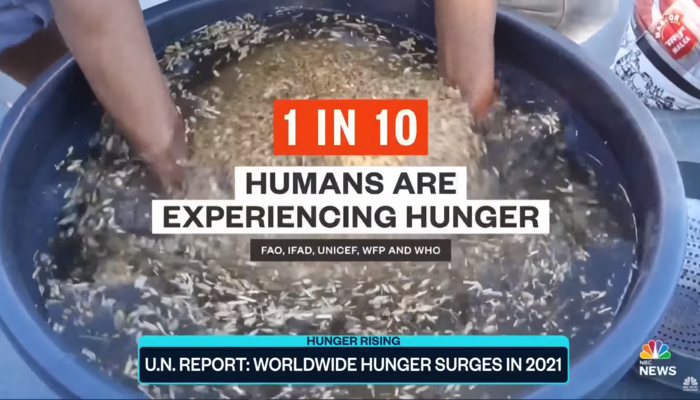 Yahoo! News Shares Piece Falsely Claiming Controversial UN Hunger ...