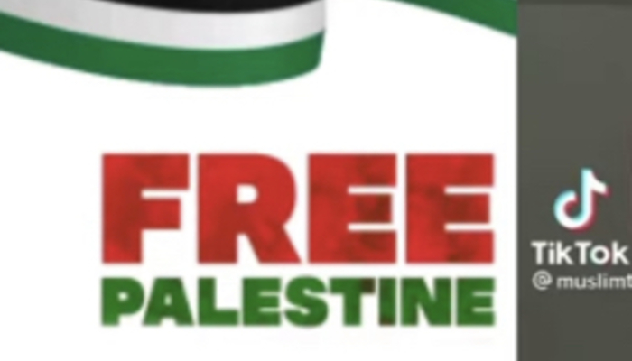 NextImg:TikTok Boasts Removing 500,000 Videos Over Hamas-Israel Conflict