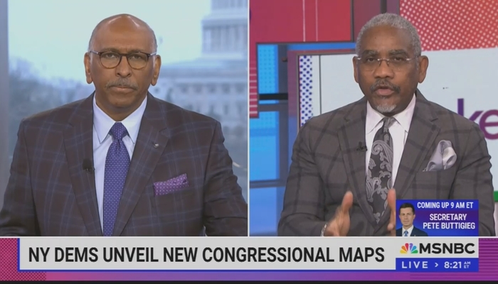NextImg:LOL: MSNBC Republican Michael Steele Chides NY Dems For Not Gerrymandering Hard Enough!