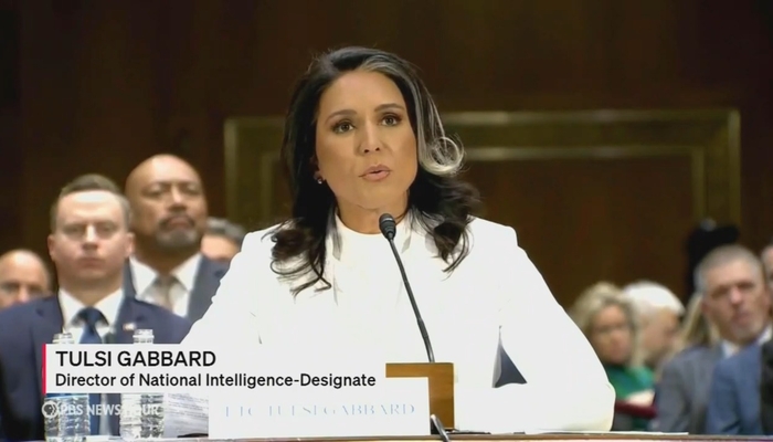 NextImg:PBS Switches Sides on Snowden to Roast 'Dangerous' Tulsi Gabbard