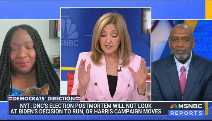 NextImg:MSNBC Democrats Search for Answers Why Their Party Is Failing