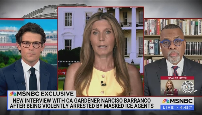 MSNBC's Glaude Decries Possible Deportation of Weed-Whacker as 'Evil'