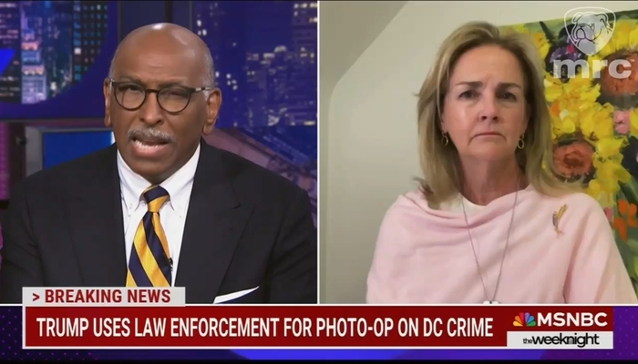 NextImg:MSNBC's Steele Agrees with Conspiracy Theory on Trump DC Takeover to Cancel Elections
