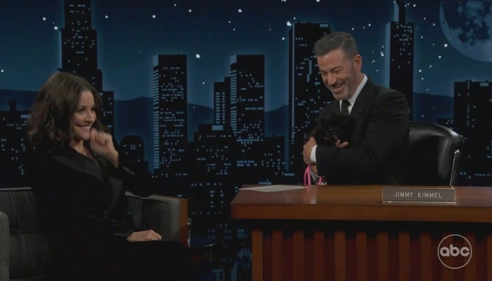 NextImg:Julia Louis-Dreyfus Gushes Over 'Brave And Powerful' Kimmel