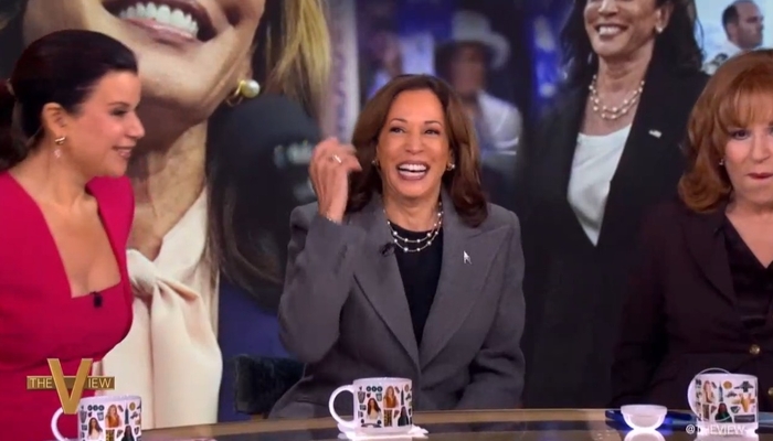 NextImg:Mea Culpa for Sinking Campaign? The View to Host Kamala’s Book Tour