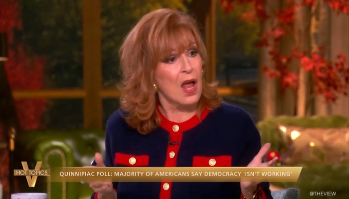 NextImg:ABC’s The View Claims There Are 'No Guardrails' Under Trump, So Elect Democrats