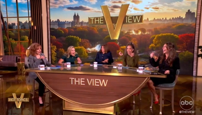 NextImg:The View Goes Silent on Kimmel Suspension, Show Off Their WikiFeet