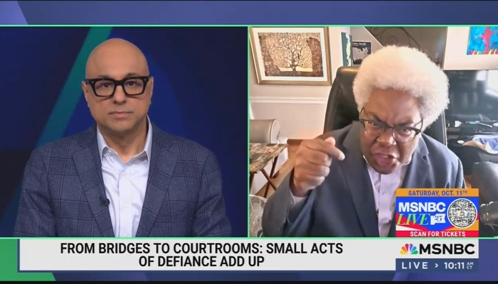 NextImg:MSNBC's Velshi, Crazy Mystal: It's Okay to Break the Law to Resist ICE, Trump