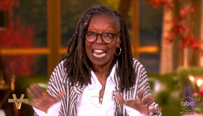 The View Reads Literal Dem Talking Points to Blame Shutdown on GOP