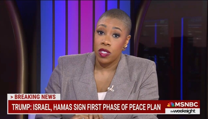 NextImg:'They Gave Speeches': MSNBC's Sanders Credits France and Britain For Gaza Deal