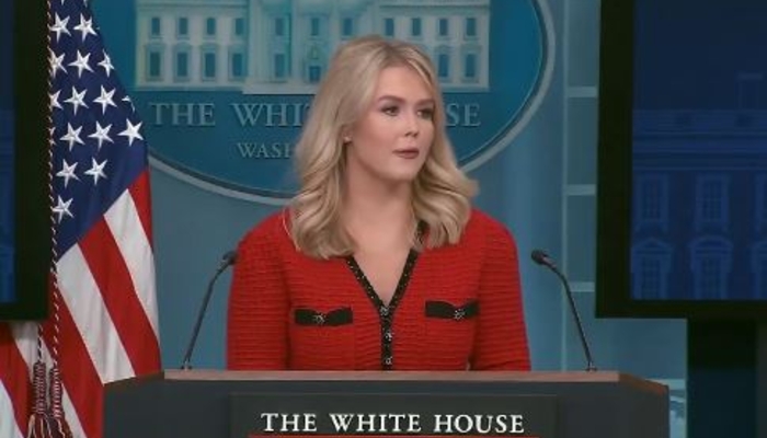NextImg:‘This Madness Must End’: WH Press Sec. Says Dems Are Intentionally Sabotaging U.S.
