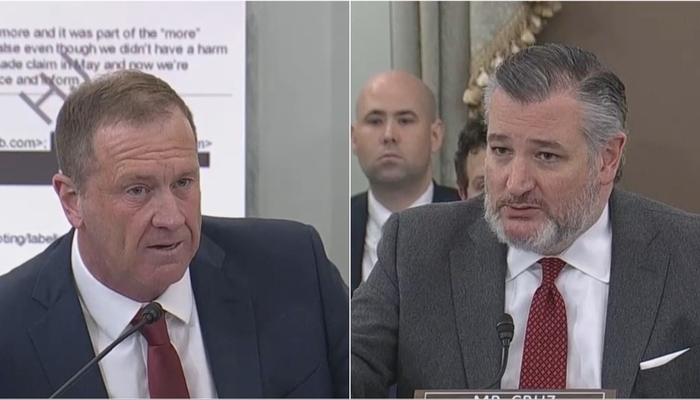 WATCH: Google Lackey Doubles Down on Censorship in Appalling Hearing