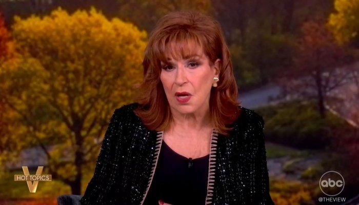 Conservatives Call Out The View for Not Accepting Appearance Requests