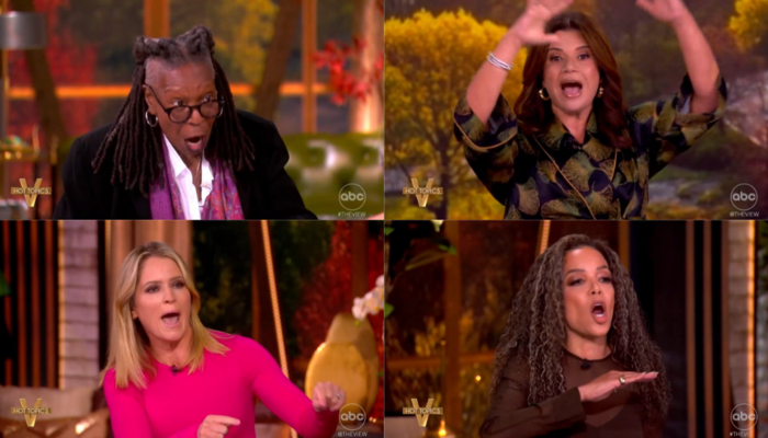 ‘I Want an Opposition Party!’ The View SCREAM at Dems for Reopening Government