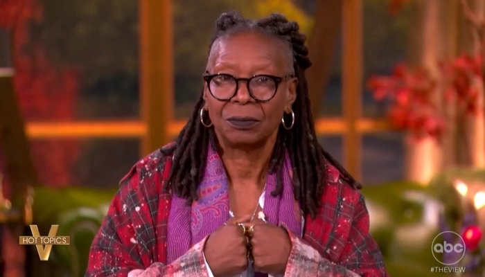 Whoopi Abuses Veterans Day, Suggests Hegseth Doesn't Care About Vets