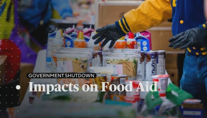 The Government Shutdown That Democrats Love