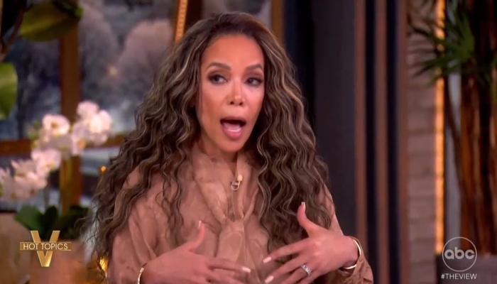 ABC: Good, Pretti Deaths Part of Plot to Steal 2026 Elections and Social Security Numbers