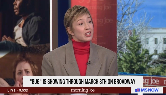 Actress on MS NOW: Audiences Are ‘Hungry’ for ‘Blood’ as Art Targets Trump