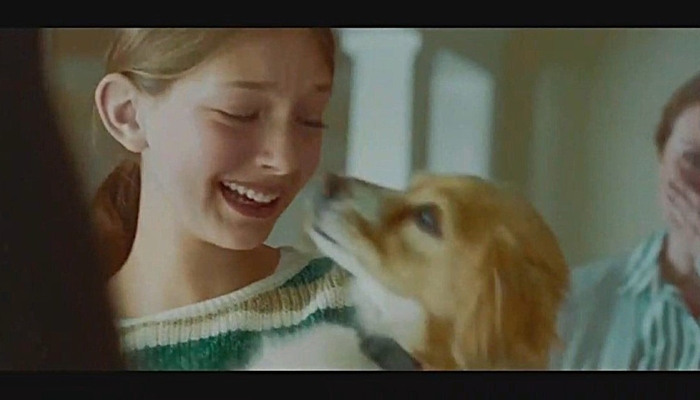 NPR TV Critic Snipes at Trump's Super Bowl Ads, Plus One Based on Helping 'White People'