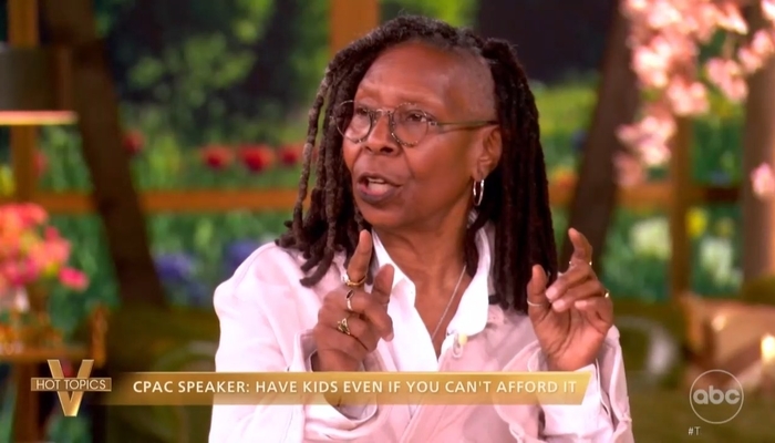 The View Attacks Conservative Woman Telling Women to Marry, Have Kids