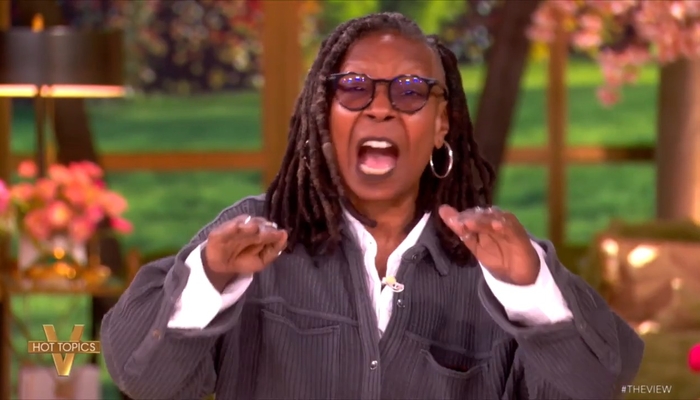 The View DEMANDS You Stop Blaming Violence on Liberals, Claims Trump Is a Dictator