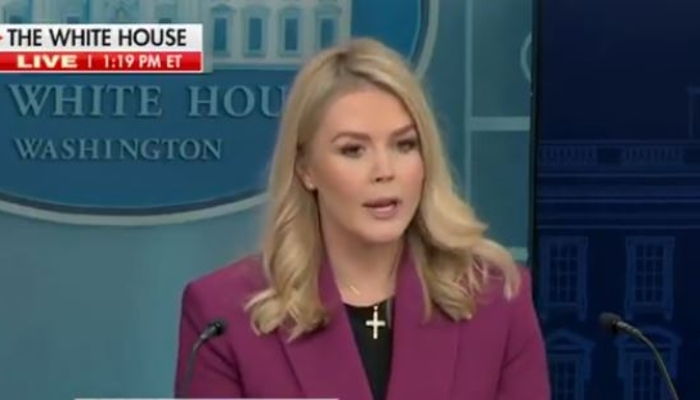 WH Press Sec. Leavitt Quotes Democrats’ Violent Rhetoric