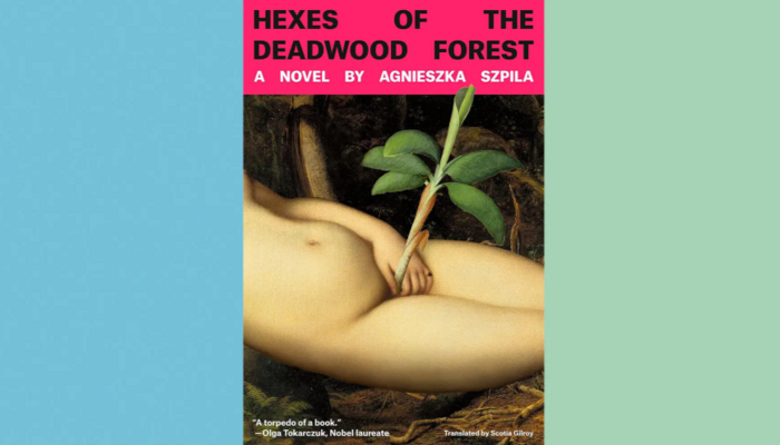 The New York Times Champions a Bizarre Feminist Novel 'To Topple the Patriarchy'